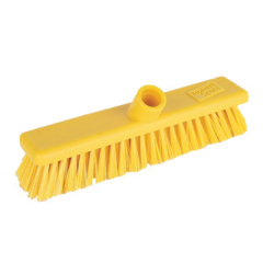 Stiff Broomhead in Yellow Stiff Broomhead in Yellow