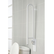 Double bar drop down grab rail