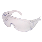 Goggle Shield