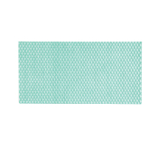 Green Standard Cleaning Cloth